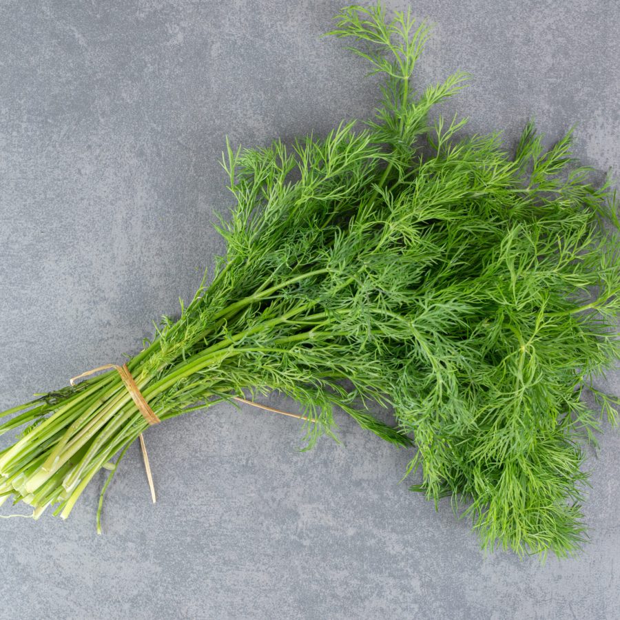 Organic fresh dill on marble backgroudn Organic fresh dill on marble backgroudn. High quality photo
