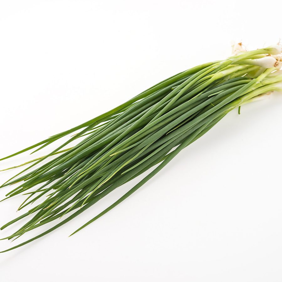 spring onion isolated on white background spring onion isolated on white background